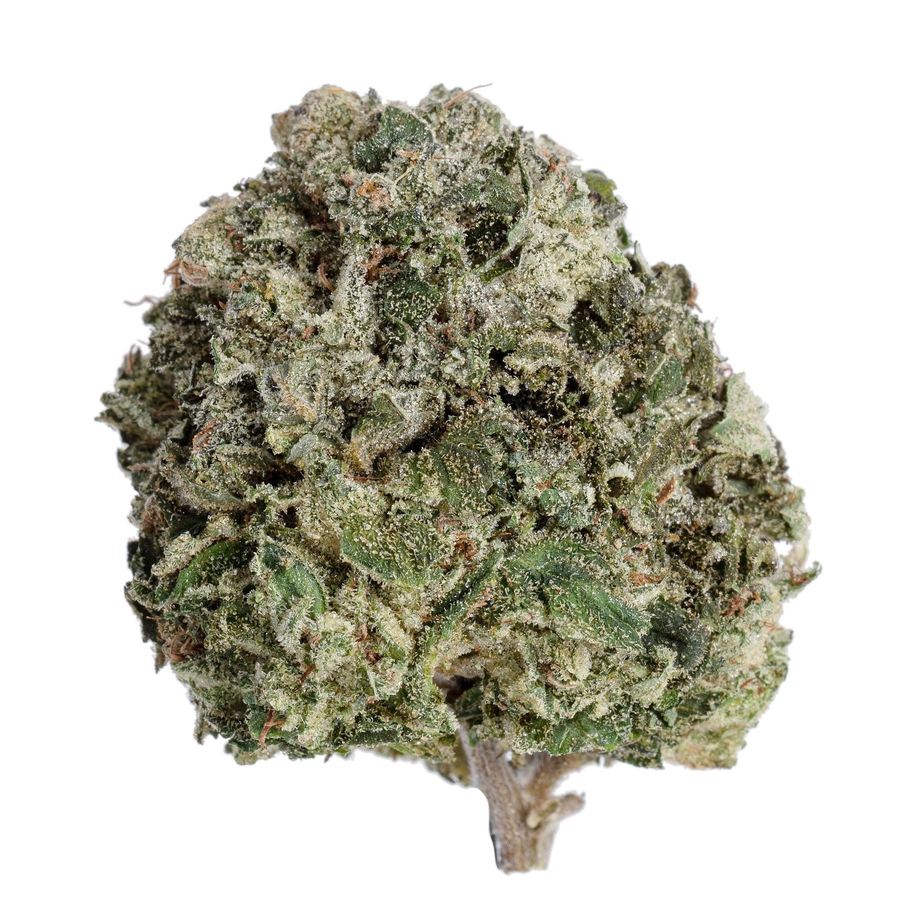 Black Licorice Leafly